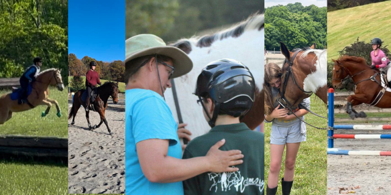 Banner showing the different disciplines that Harmony Equestrian Center offers and the care that goes into teaching each one.