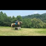 107210444_3401904829841942_4524426892484118265_n