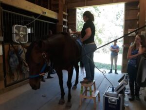 205220693_4454605517905196_2091423031198472190_n