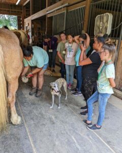 474912880_1425794832007937_1575701140013364602_n