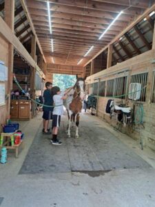 490369417_1495694545017965_8270111157346693845_n