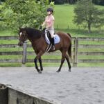 491307963_1497215881532498_2797793429028859286_n