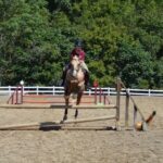 70371991_2676069455758820_2133376875160928256_n