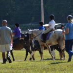 70391710_2676069099092189_6676048013296664576_n